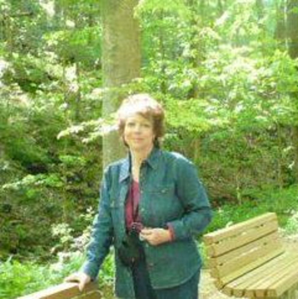 Meet your Posher, Lisajo